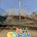 숲속어린이공원 | 홍천 숲속 놀이공원 솔직 후기 (위치·놀거리·꿀팁 총정리)