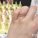 다홀릭