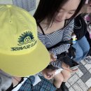 육사시미 콘서트 4 이미지