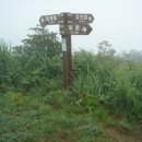 악양면사무소 이미지