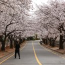 순천금당고등학교 이미지