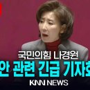 🔴LIVE 국민의힘 나경원 의원, 정치 현안 관련 기자회견 / 25.2.27 / KNN KNN NEWS 이미지