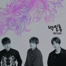 트리탑스 카카오 검색결과