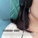 러스틱라운지 | 치앙마이-인천 대한항공 비즈니스석 프레스티지, 라운지 후기