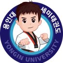 용인대세미태권도장
