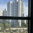 운정 신도시 팜스마트에서 장보기