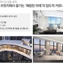 마레하우스 이미지