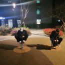 다이나믹노래연습장