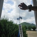 퍼니판서산예천점 | [안동 여행 추천] 살아 숨쉬는 고택에서 즐기는 금소첨화 Art워크샵 3회차 후기