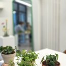 안양시청_동 | 안양평촌 기념일 꽃다발 추천, 평촌꽃집 플로앳