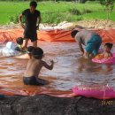 매화미르마을 이미지