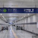 2호선 벡스코역 9번출구 이미지