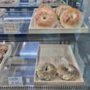 (주)평창투어 | [강원도 카페] 초록 뷰 맛집 숲속 한가운데에서 찾은 쉼, 평창 대형 카페 '거커리숲' 힐링 후기