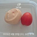 비타민별별 | [임신 기록] 임신 24주 6일 아름제일병원 임당검사 및 초음파 후기 (임당 검사 결과는?)