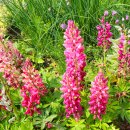 부천자연생태공원 이미지