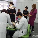 마도보건지소 이미지