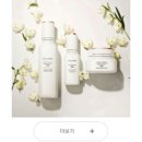 높이는 영양제 우리아이도 어른도 함께 먹어요 엔큐엔에이 엠-드림리퀴드 도담키즈-드림 올키비타젤리