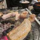 식껍 이미지