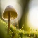 파머스 빌리지 고읍점 이미지