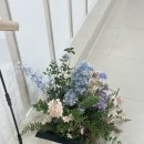 서울 예쁜 웨딩홀 추천!! 아르베 강남 하우스웨딩 방문 후기💍✨