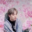 제이캐슬 이미지