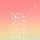 손끝꽃 네이버블로그