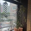 왕십리역5번출구 이미지