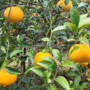 가정1-01-036 이미지