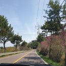 북천주유소 이미지