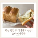 삼봉식빵 | 파리바게트 신상 솔티버터식빵 후기 (요즘 소금버터 트렌드 제대로)🥖