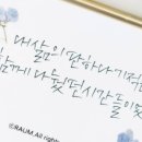 붓펜캘리&한글쓰기 2급 이미지