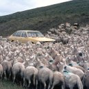 스마트솔루션 이미지