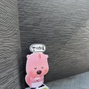 루피나의 정원 | 루피나라에 다녀왔어뤂
