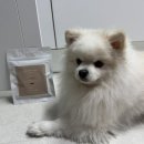 괴산미향 이미지