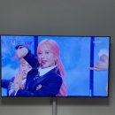 1월의 일상(홍콩여행.1월1일.이루리.집들이.제니베이커리.홍콩디즈니랜드.떡국.설날)