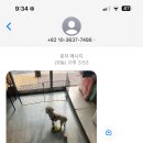 펫스탑 이미지