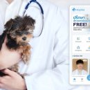 서울 애니 동물병원 이미지