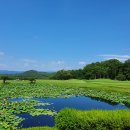 핀크스GC (대중형9홀) | 부담 없이 즐기는 전략형 코스의 정석, 남여주 골프클럽!