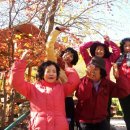 마임서부지사 이미지