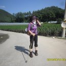 하돌목교 이미지