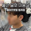 헤어르뽀렘 범서점