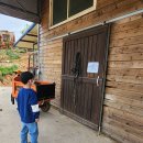 주식회사 월드승마학교 | 경기도 시흥 월드승마학교 어린이 승마체험 후기 매주 기다려지는~