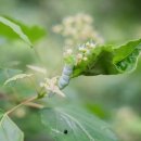 청정학곡마을 이미지