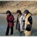 안동세월교 이미지