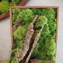 로뎀나무협동조합 이미지