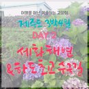 화도초교 이미지