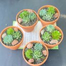 영성경로당 이미지