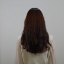 모이모이 이미지