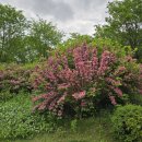 매산지구대 입구 이미지