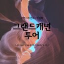 [미국여행]그랜드캐년투어 2일차 욜로랄라투어 솔직후기